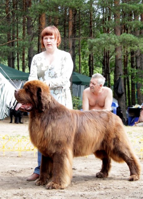 Фотография № 48588