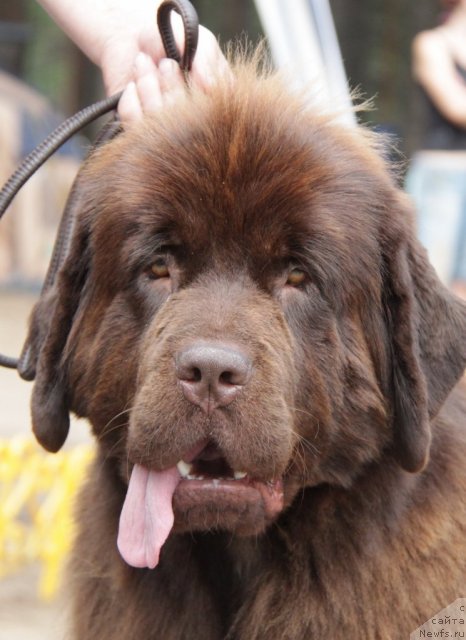 Фотография № 48591