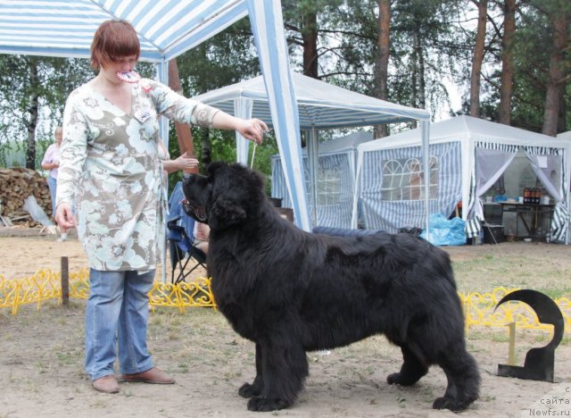 Фотография № 48600