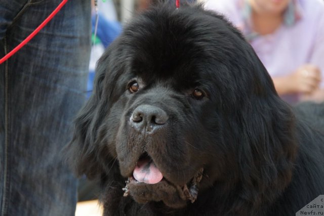 Фотография № 48602