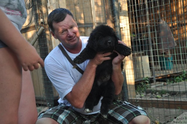 Фото: Elena Dresvyanskaya (Елена Дресвянская)