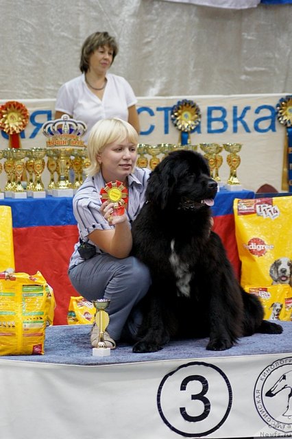 Фотография № 48622