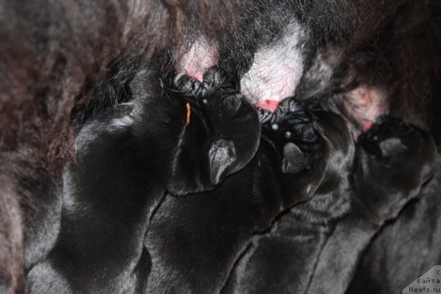 Фото: Дети [d7926]