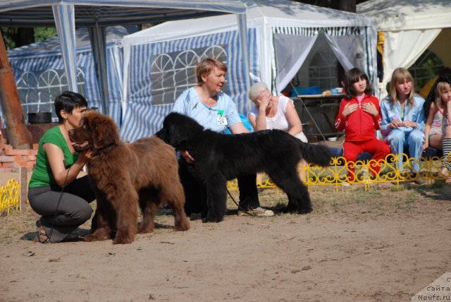 Фотография № 48641