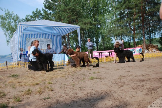 Фотография № 48642