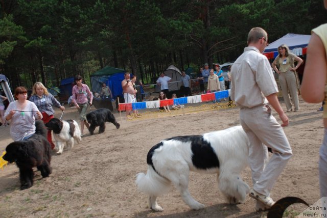 Фотография № 48661