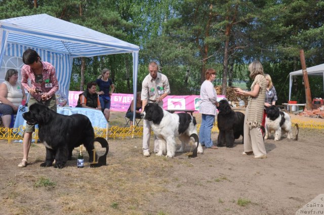 Фотография № 48663