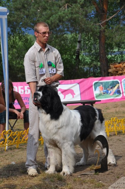 Фотография № 48664