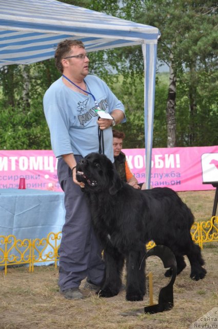 Фотография № 48678