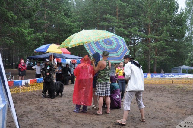 Фотография № 48683