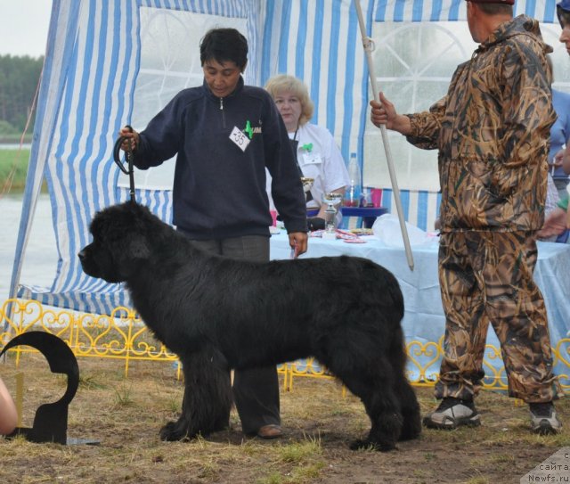 Фотография № 48685