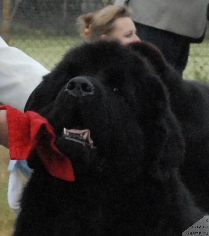 Фотография № 48688