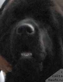 Фотография № 48691