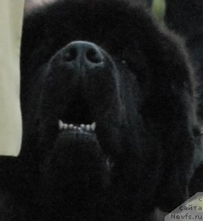 Фотография № 48693