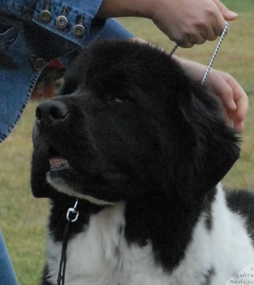 Фотография № 48694