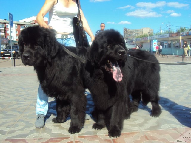 Фотография № 48702