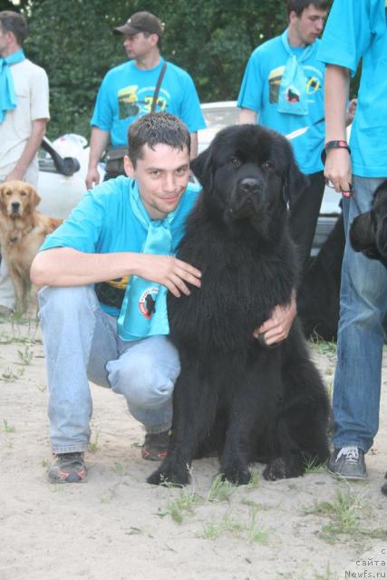 Фото: ньюфаундленд Usatyiy Nyan' Timosha (Усатый Нянь Тимоша)