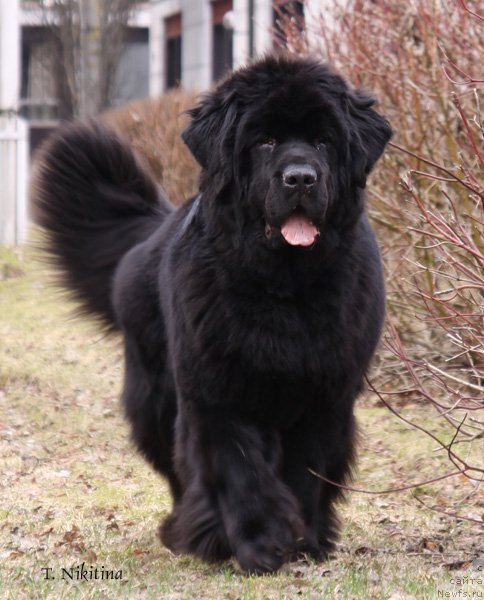 Фотография № 48713