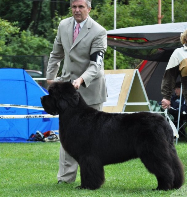 Фотография № 48742