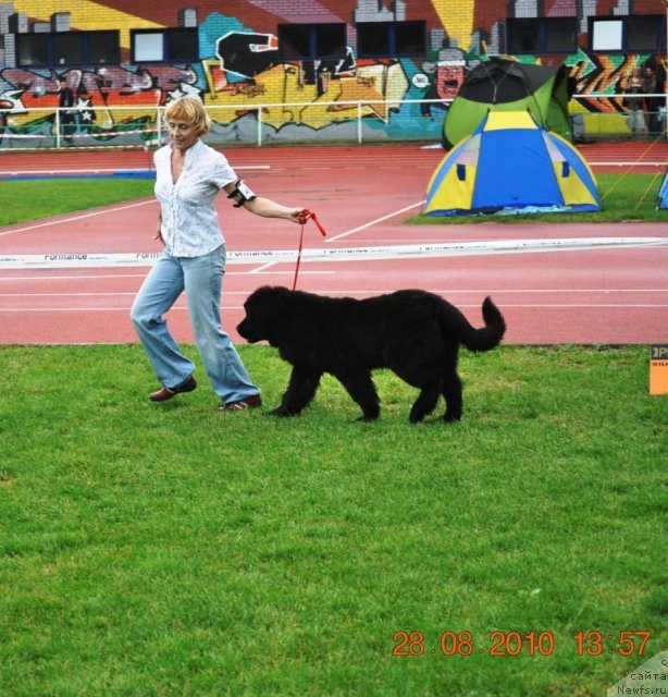 Фотография № 48744