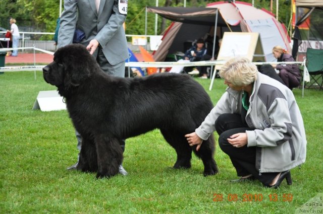 Фотография № 48745