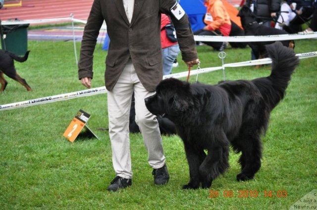 Фотография № 48746