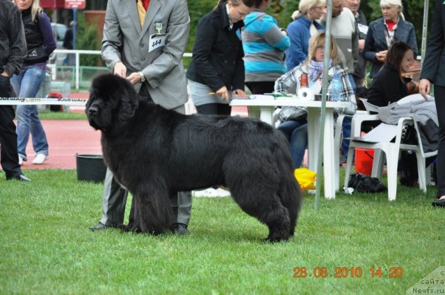 Фотография № 48748