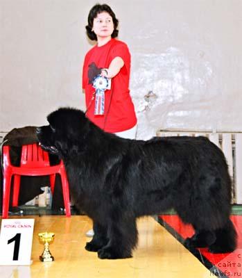 Фотография № 4883