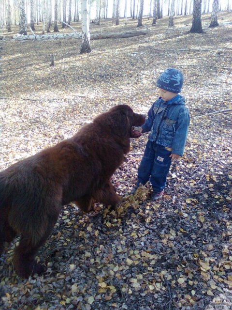 Фотография № 48886