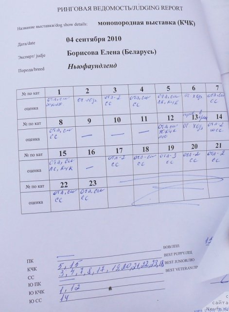 Фотография № 48893