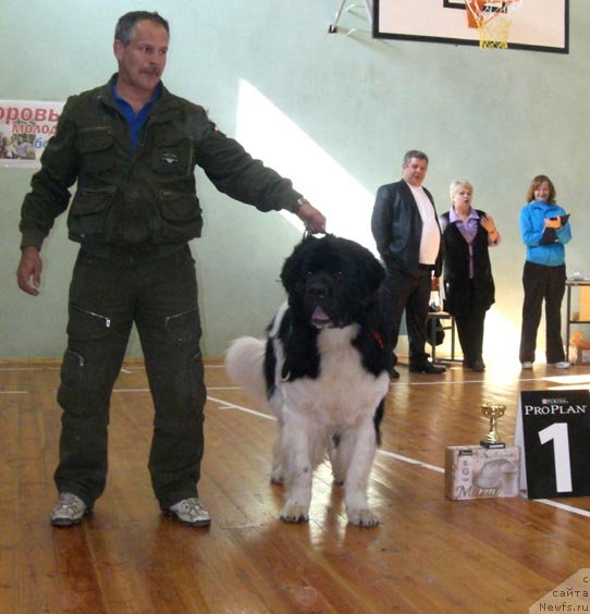 Фотография № 48897