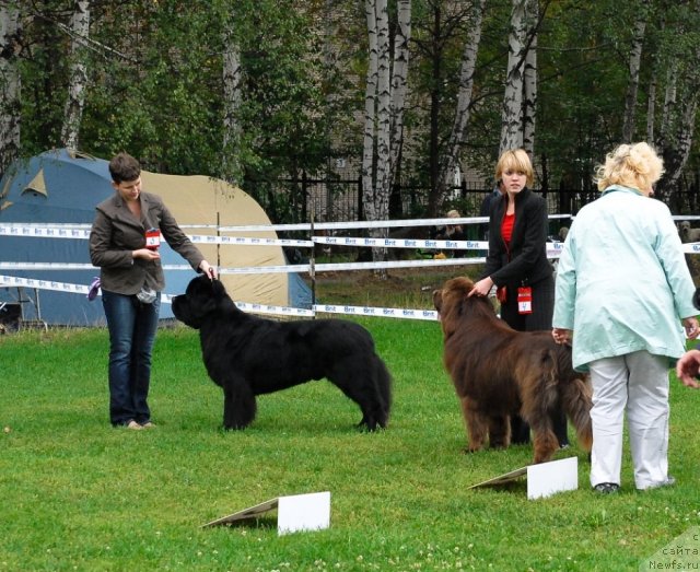 Фотография № 48915