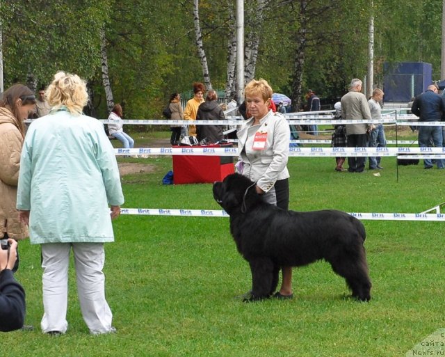 Фотография № 48918