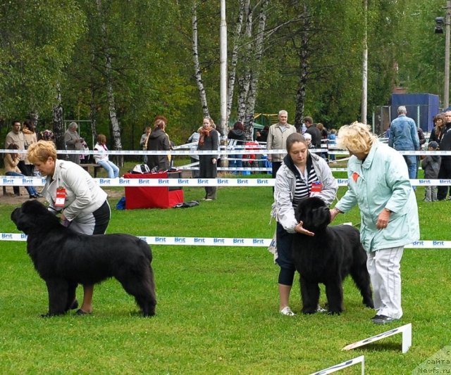 Фотография № 48919