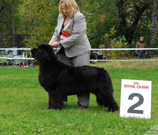 Фотография № 48925