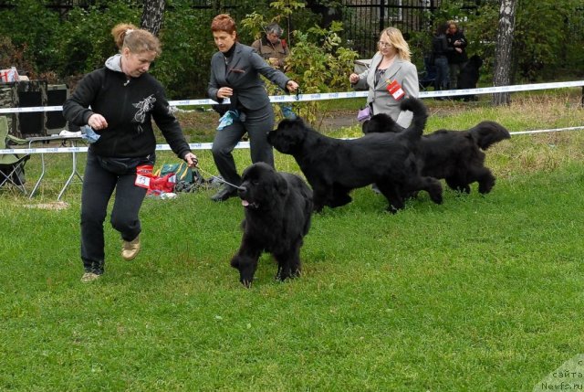 Фотография № 48926