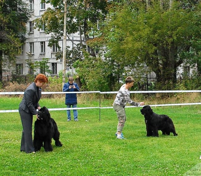 Фотография № 48930