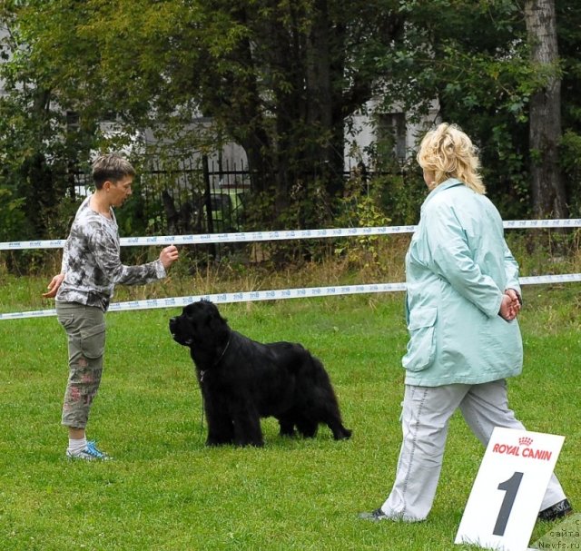 Фотография № 48931