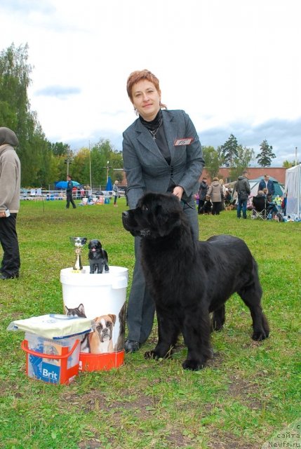 Фотография № 48936