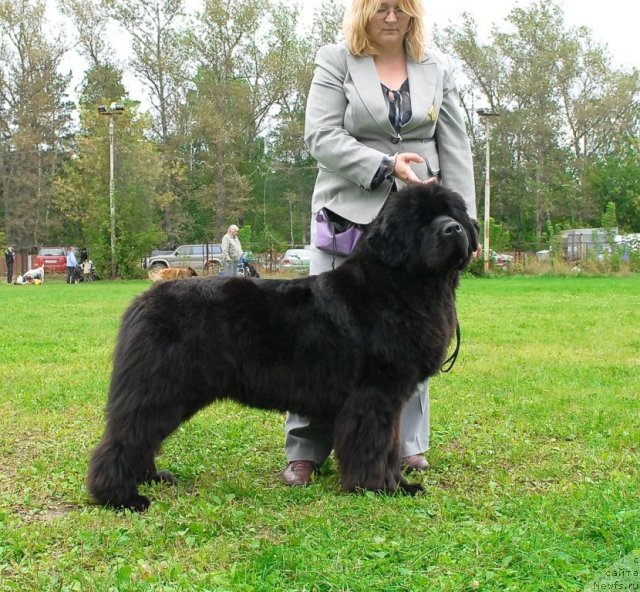 Фотография № 49034