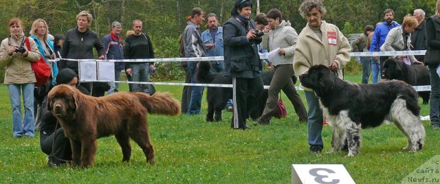 Фотография № 49037