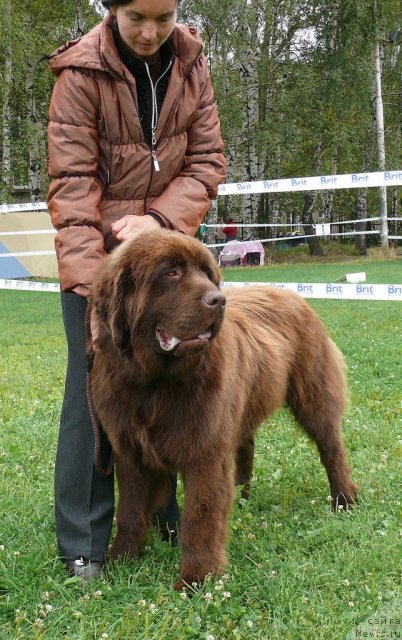 Фотография № 49038