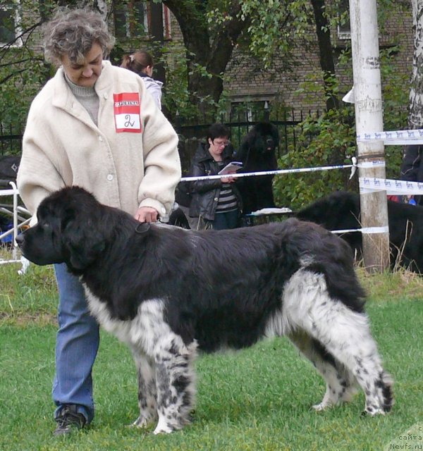 Фотография № 49039