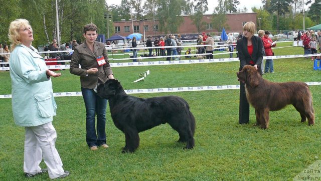 Фотография № 49040