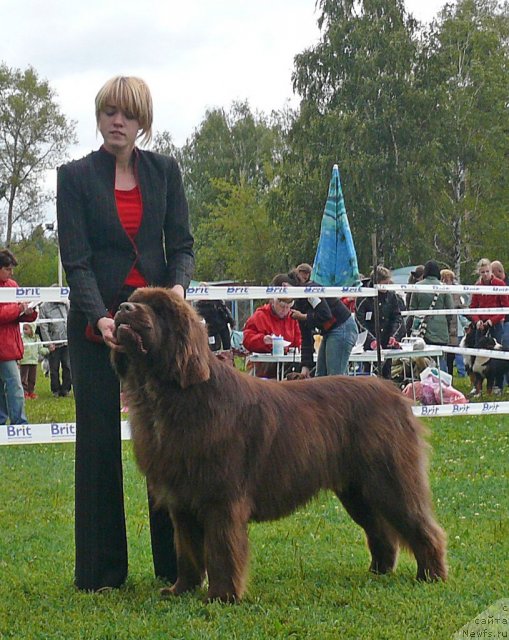 Фотография № 49042