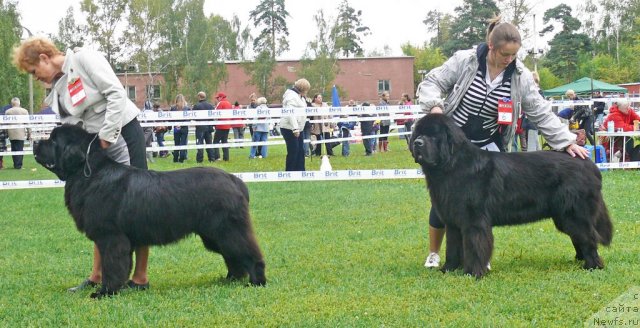 Фотография № 49043