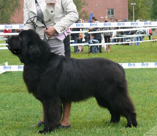 Фотография № 49044