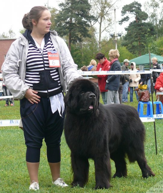 Фотография № 49045