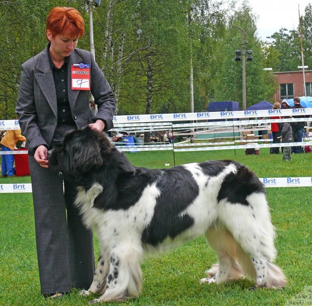 Фотография № 49046