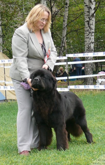 Фотография № 49048